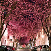 Profile Picture of Ariel Green (@arielgreen8431) on Youtube