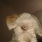 Profile Picture of Hector Jaime Zea Artunduaga (@zeaartunduaga) on Instagram