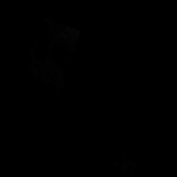 Profile Picture of Agatha Wilkes (@agathakisti) on Poshmark