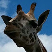 Profile Picture of Mark And Janet Schumacher (@mark-and-janet-schumacher) on Quora
