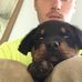 Profile Picture of Dominick Scartelli (@dominick.scartelli.52) on Facebook