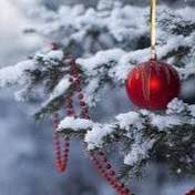 Profile Picture of Sonia Haddad (@soniahaddad9891) on Youtube