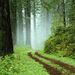 Profile Picture of William Dyke (@wmdyke4) on Pinterest