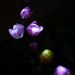 Profile Picture of Taycia Halterman (@thalterman) on Pinterest