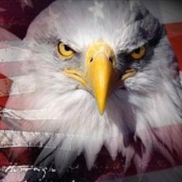 James Distefanis - Twitter Profile Picture of James Distefanis (@james_jdgg66) on Twitter