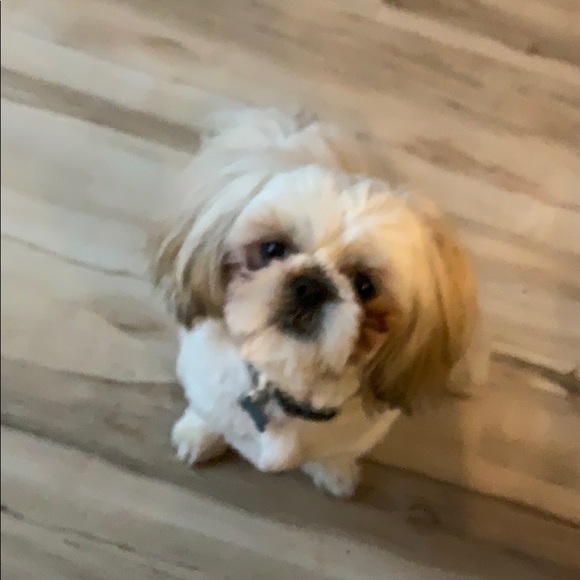 Profile Picture of Danielle Dawson (@dstone4506) on Poshmark