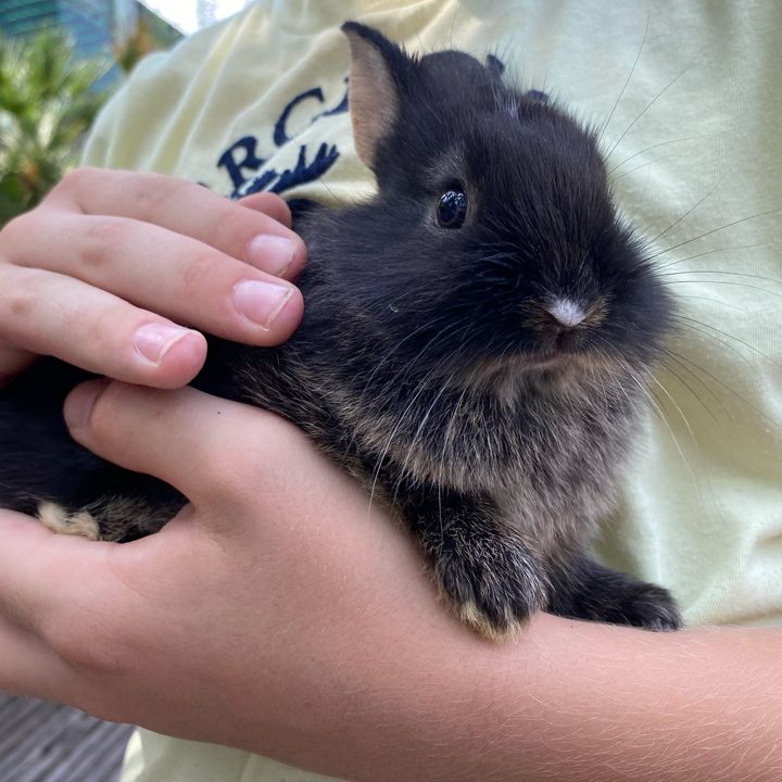 Profile Picture of davidhanser (@davidhanserq) on Tiktok