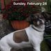 Profile Picture of Davd Wolfkill (@davd.wolfkill.5) on Facebook