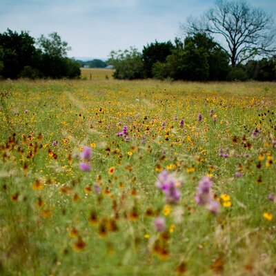 Profile Picture of James Hudgens (@Hudgeyyyyyy) on Twitter