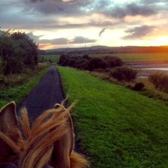 Profile Picture of Shuwen Chen (@shuwenchen99) on Twitter