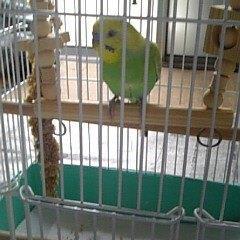 Profile Picture of あっきー (@butya07) on Twitter