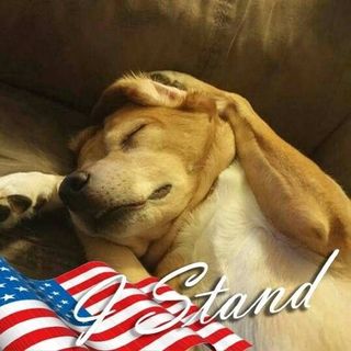 Profile Picture of Rick Mohler (@mick_rohler) on Instagram