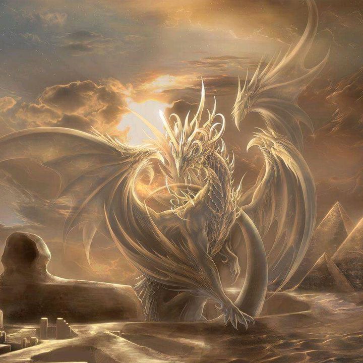 Profile Picture of Michele Fann (@michelefann7) on Tiktok