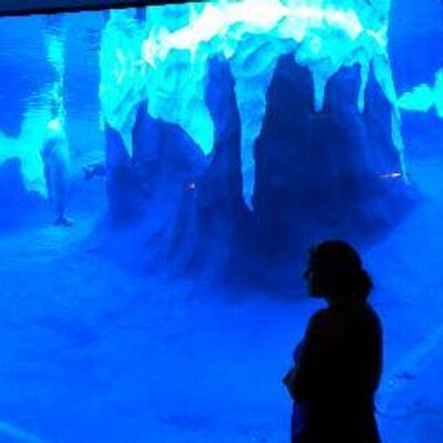 Profile Picture of Melanie Shimmin (@mel_shim1) on Twitter