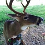 Profile Picture of Jason Carder (@carderjason) on Instagram