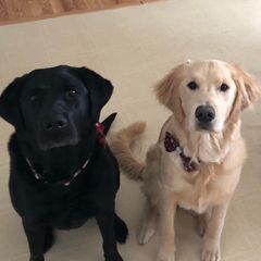 Profile Picture of Lisa Skowronski Elston (@lisaskowronskiels) on Tiktok