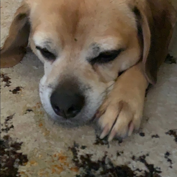 Karen Hackstaff - Poshmark Profile Picture of Karen Hackstaff (@khackstaff) on Poshmark