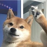 Profile Picture of Kyle Quinlan (@kyleee.q) on Instagram