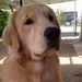 Profile Picture of Wenling Chiu (@wenlingchiu) on Pinterest