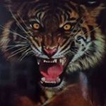 Profile Picture of Andrew Eckhoff (@andreweckhoff) on Instagram