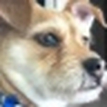 Profile Picture of Robert.morse.980 (@robert.morse.980) on Flickr