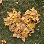 Profile Picture of 光年学长 (@guangnianxuezhang) on Instagram