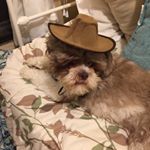 Profile Picture of Paula Crocker (@paula_crocker) on Instagram