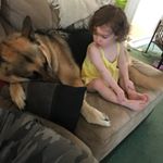 Profile Picture of Steve Ayer (@s_l_ayer) on Instagram