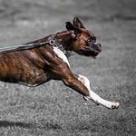 Profile Picture of Thomas Kreuzer (@roland.deschain3108) on Flickr