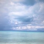 Profile Picture of Allison Dunlop (@allison_dunlop) on Instagram