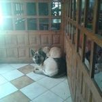 Profile Picture of Miriko Santiago Carbayo (@santiagocarbayo) on Instagram