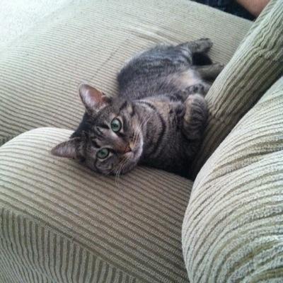 Profile Picture of Sean Brian Morden (@MordenBrian) on Twitter