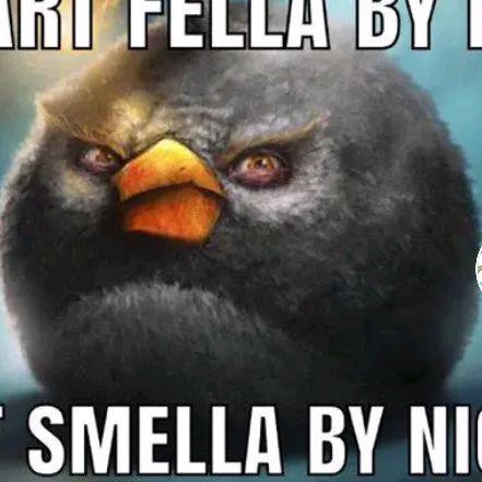 adamerdel - Tiktok Profile Picture of adamerdel (@adamen69) on Tiktok