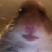 Profile Picture of Nathan Fouts (@Nathan-Fouts) on Facebook