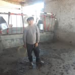 Profile Picture of Horacio Chavez Cordova (@Horacio-Chavez-Cordova) on Facebook