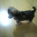 Profile Picture of Hiromi Ono (@hiromi4683) on Instagram