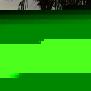 Profile Picture of Thomas Minichiello (@tmrockzzz) on Myspace