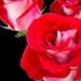 Profile Picture of Carla Lopes Lopes (@carlalopes.lopes.758) on Facebook