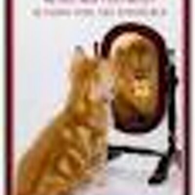 Profile Picture of David Powders (@davpowd) on Twitter