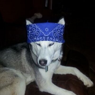Profile Picture of Clint Boyd (@_cmcb_) on Twitter