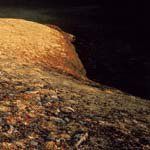 Profile Picture of Brenda Jackson (@bren_jackson) on Instagram