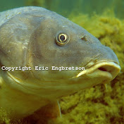 Profile Picture of Ben Pugh (@benpugh4125) on Youtube