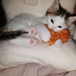 Profile Picture of Miriam Noemi Brockhaus (@miriambrockhaus) on Instagram