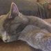 Profile Picture of Dell Boyce (@dell.boyce.5) on Facebook