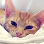 Profile Picture of Jessica Manders (@jesje.1978) on Instagram