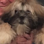 Profile Picture of Joel Wilkes (@joelmoel72) on Instagram