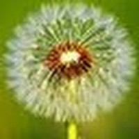 Profile Picture of Brian Cecil (@brian-cecil-9) on Quora