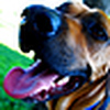Profile Picture of Sample Portfolio for Luke (@Sample Portfolio for Luke) on Flickr