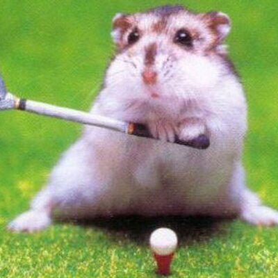 Profile Picture of Terry Dexter (@GolfFanboy) on Twitter