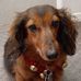 Profile Picture of Paula Whitley (@paula.whitley.56) on Facebook